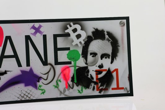 1/1 Brick Lane London Graffiti Street Sign