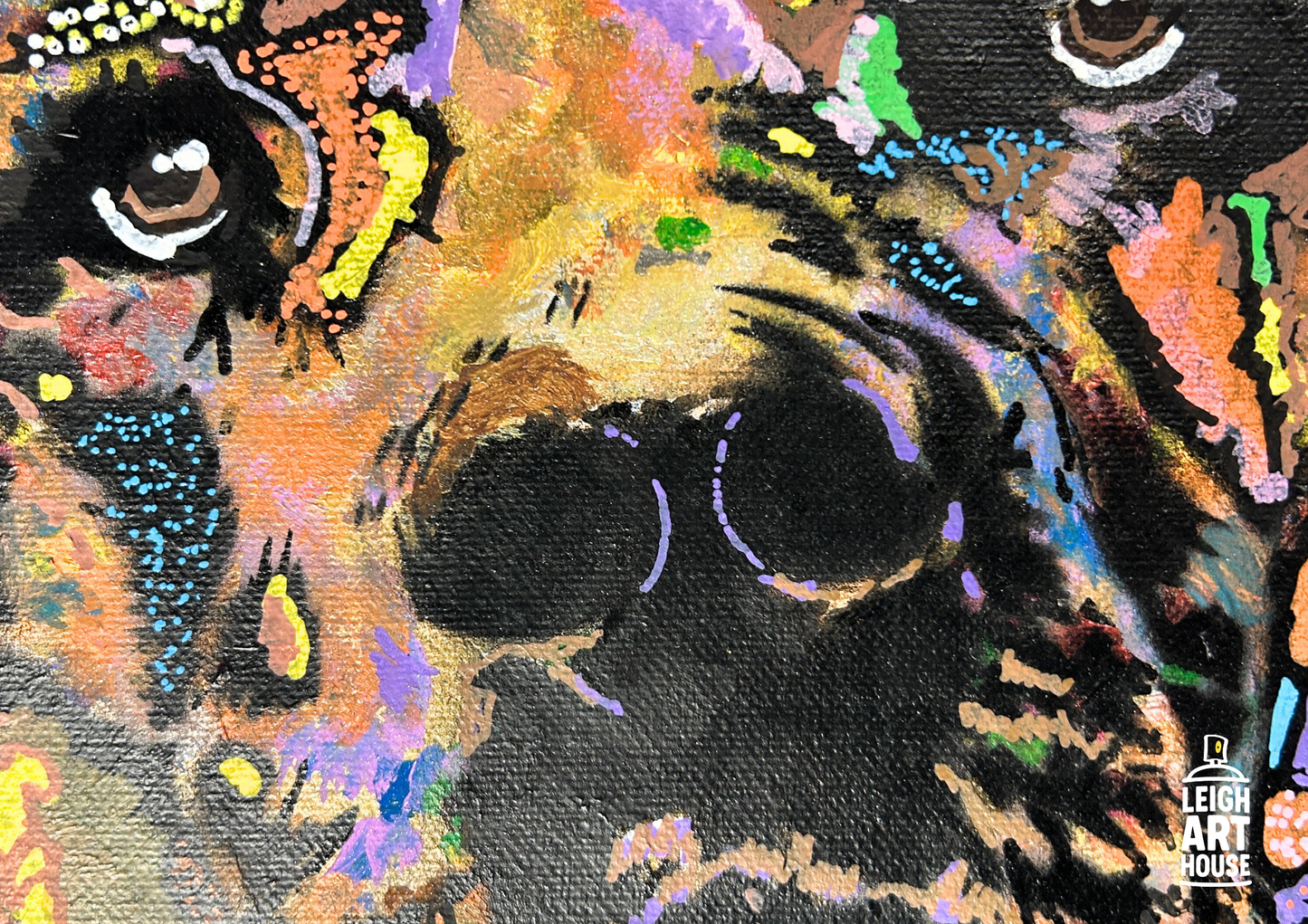 Colourful Dog Spray Painted Canvas 36cm x 28cm