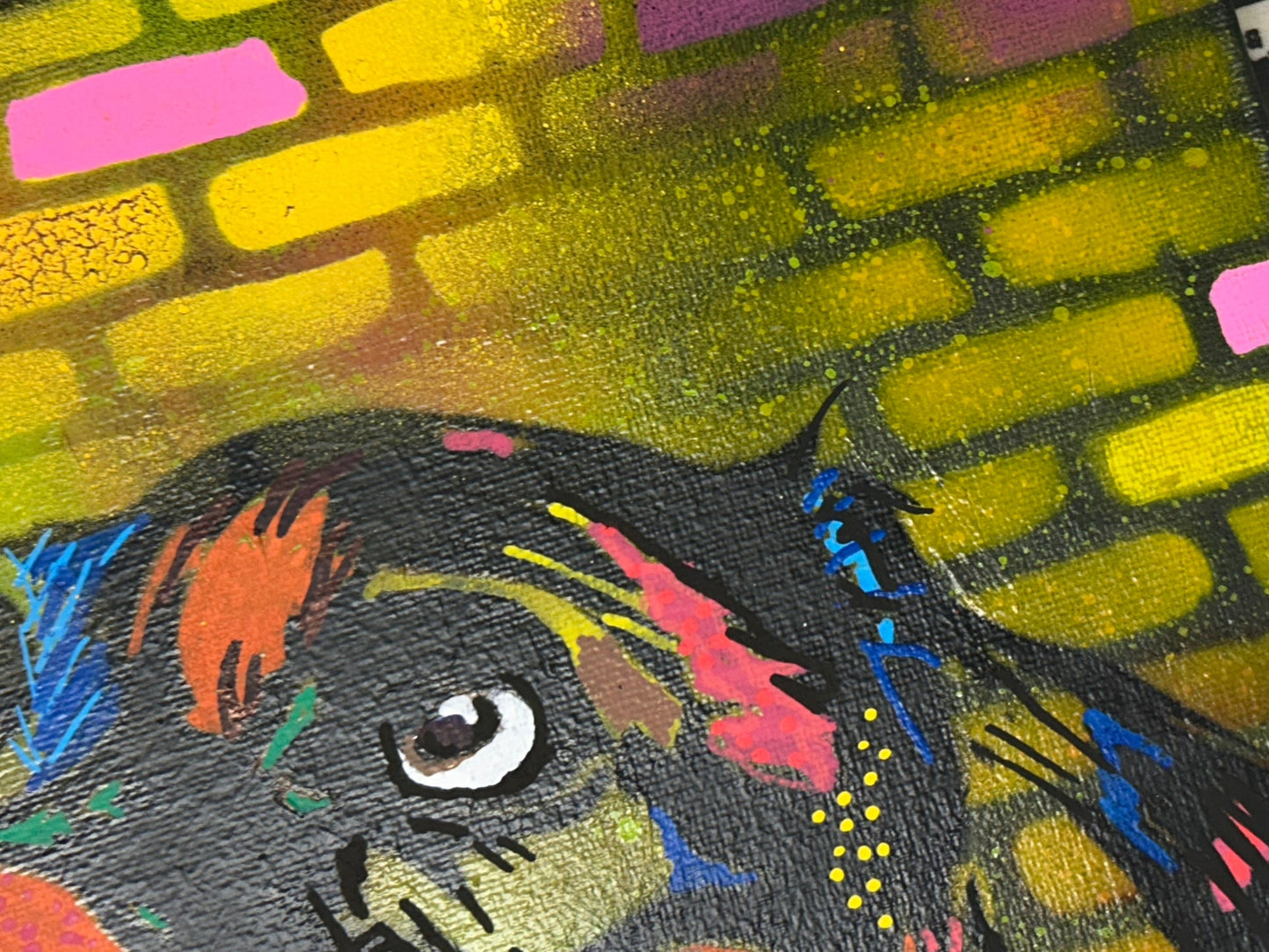 Dog Spray Painted Canvas 40x30cm