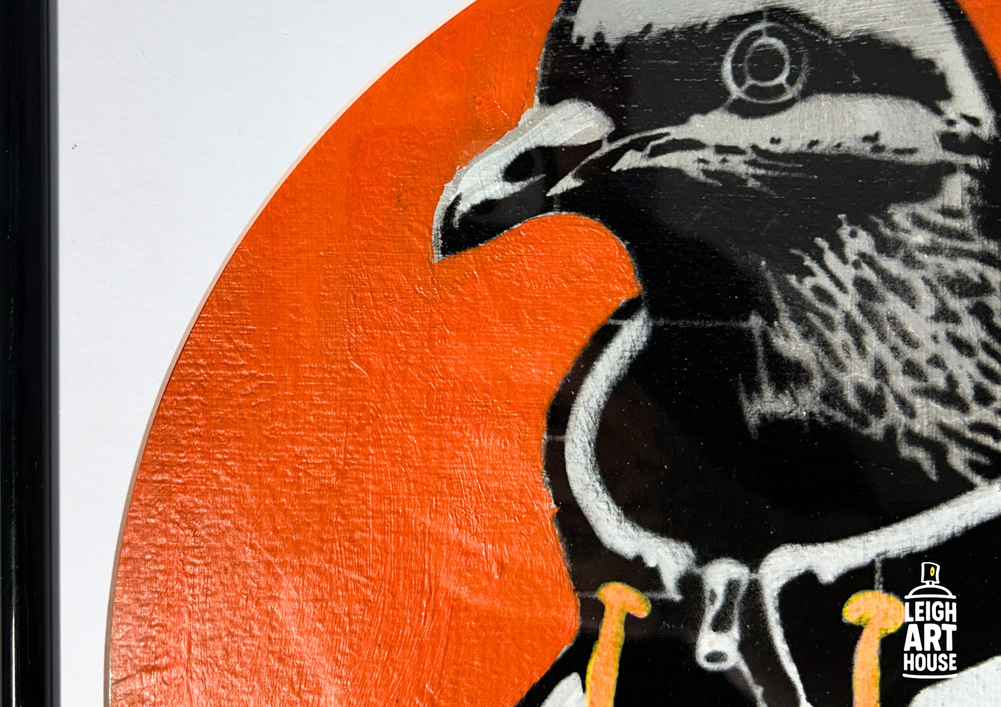 Puffer Pigeon (Orange) 32cm x 32cm
