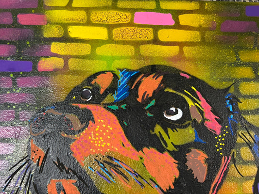 Dog Spray Painted Canvas 40x30cm