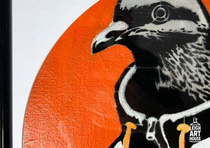 Puffer Pigeon - S.Brown 32cm x 32cm