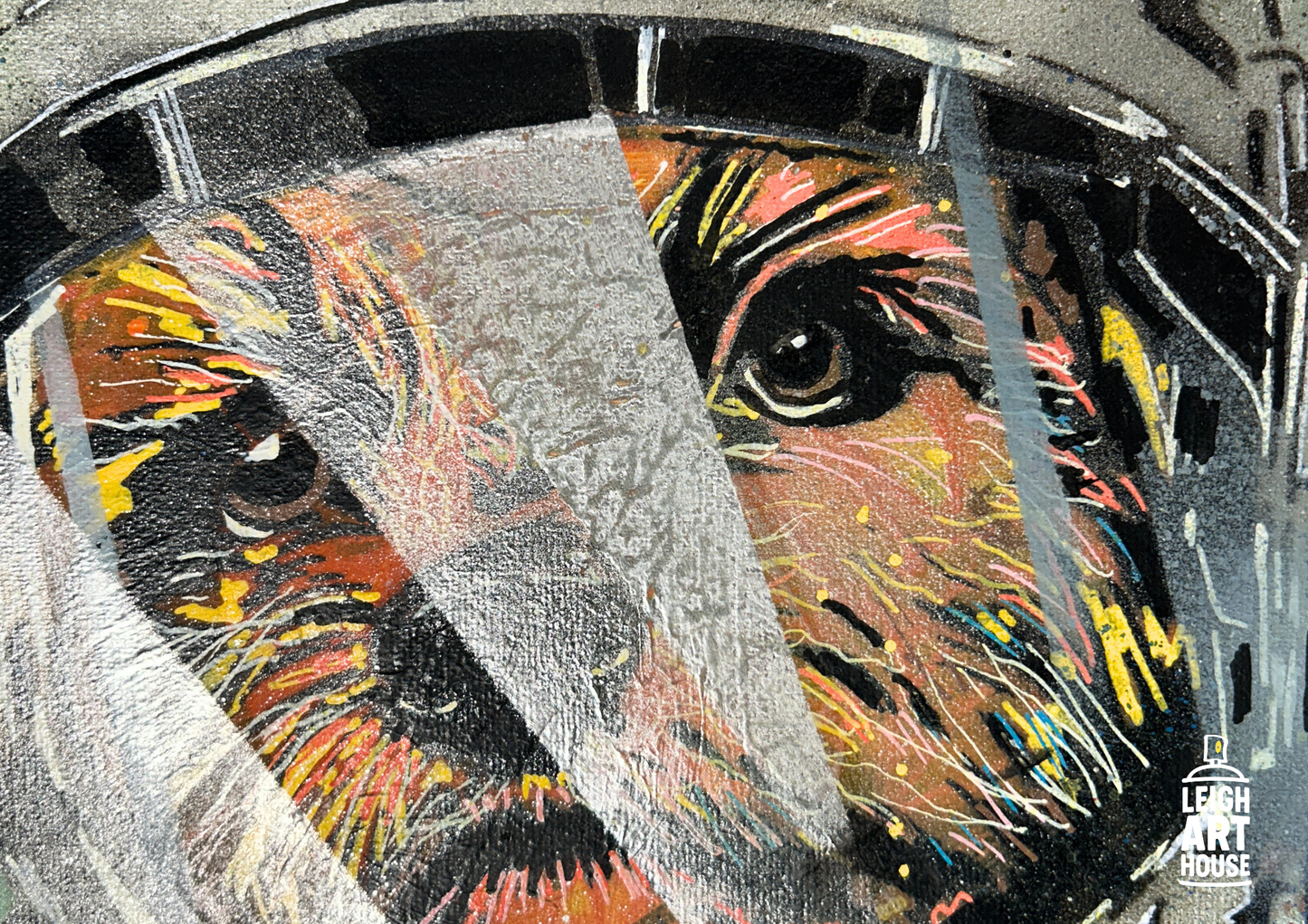 Space Dog 46cm x 35cm