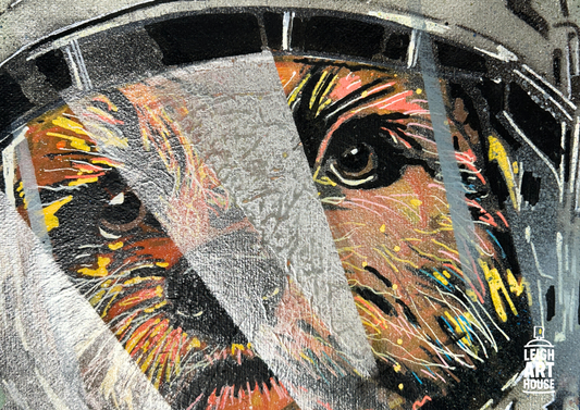 Space Dog 46cm x 35cm